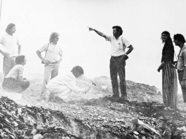 dig